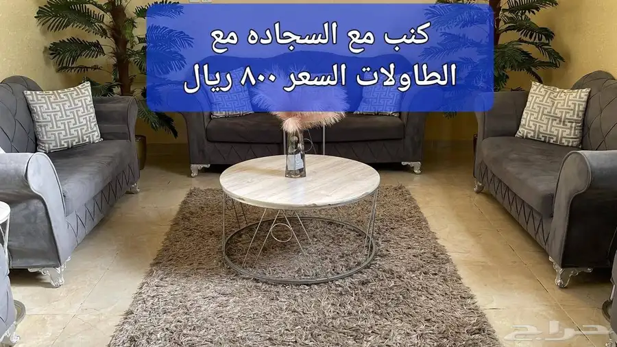 عشف للبيع 14