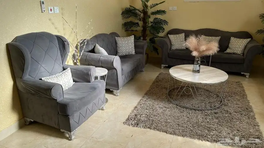 عشف للبيع 8