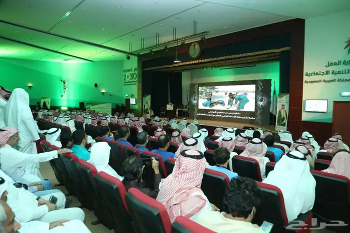 اضاءات خضراء لليوم الوطني 8
