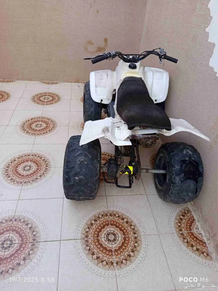 تايوان حجمه 100 1