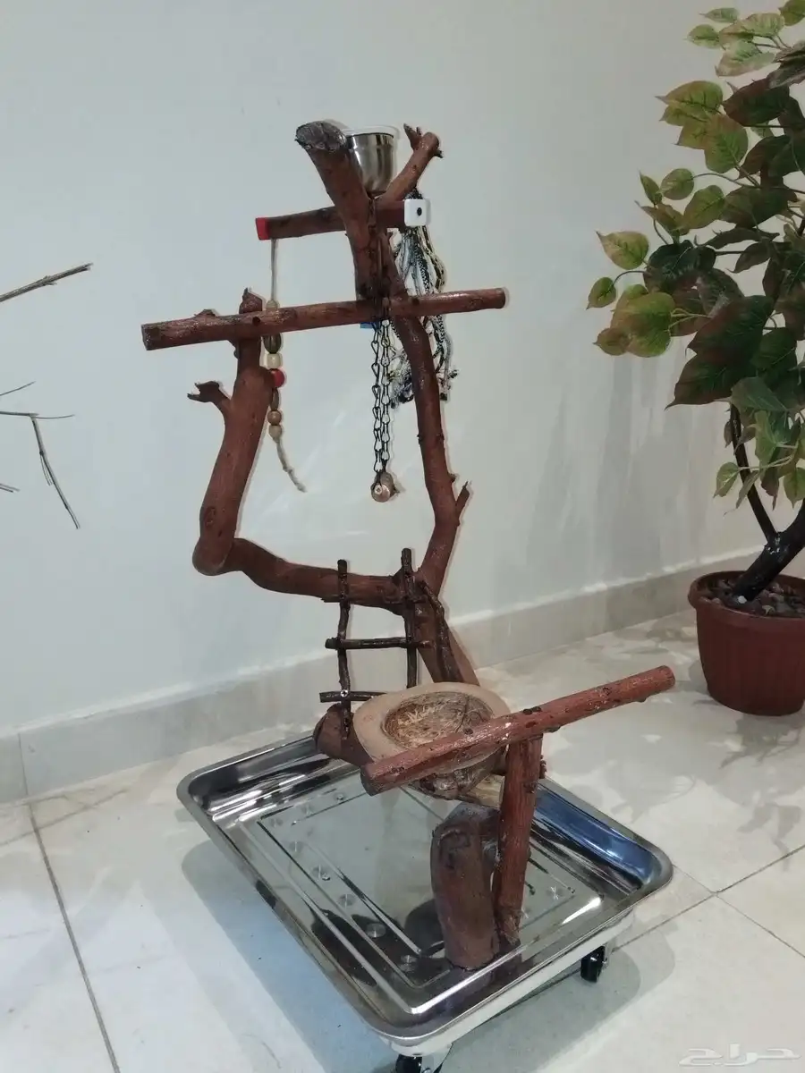 استاندات طيور 2