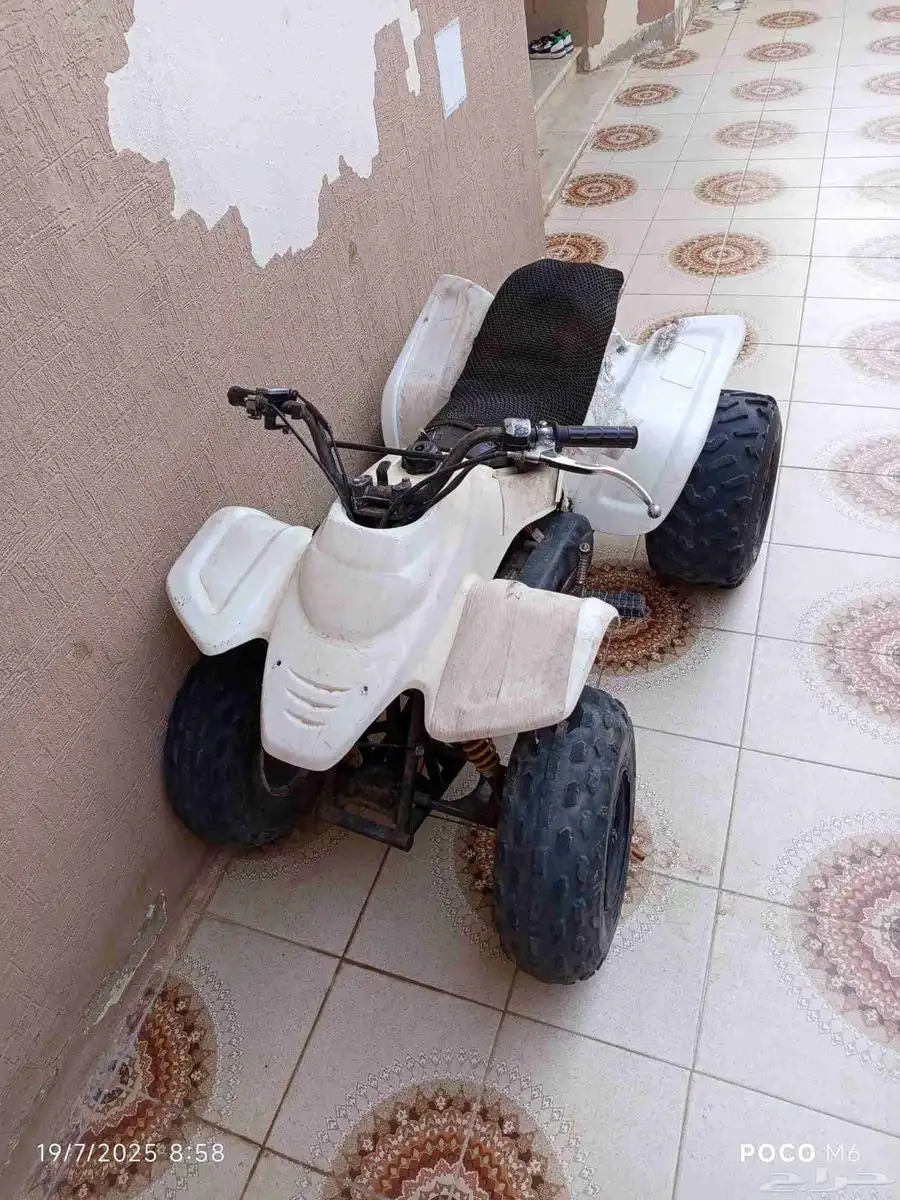 تايوان حجمه 100 0