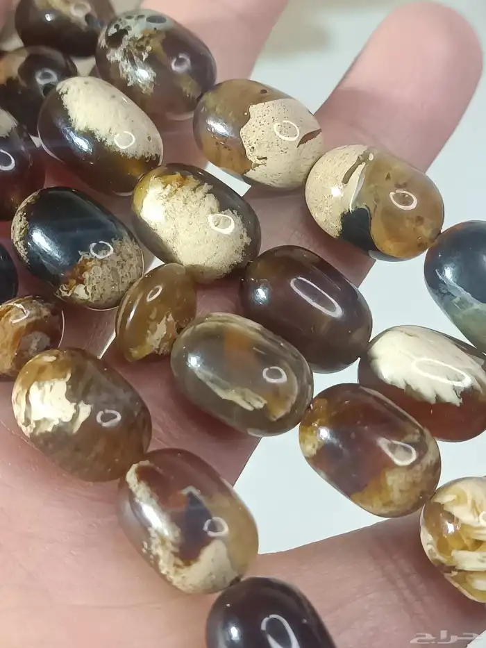 سبحة كهرمان سومطري طبيعي شجري بالكامل 2