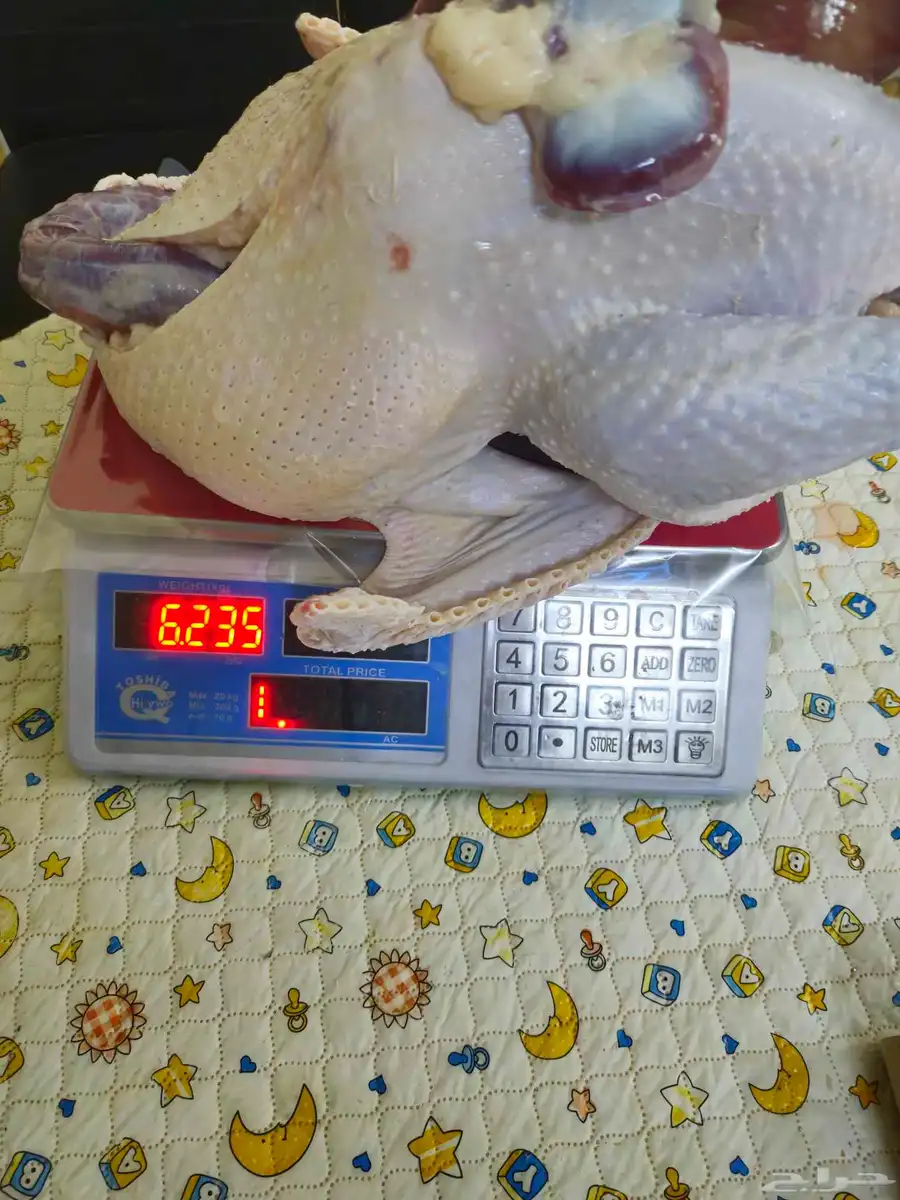 ديك رومي ذبح طازج 1
