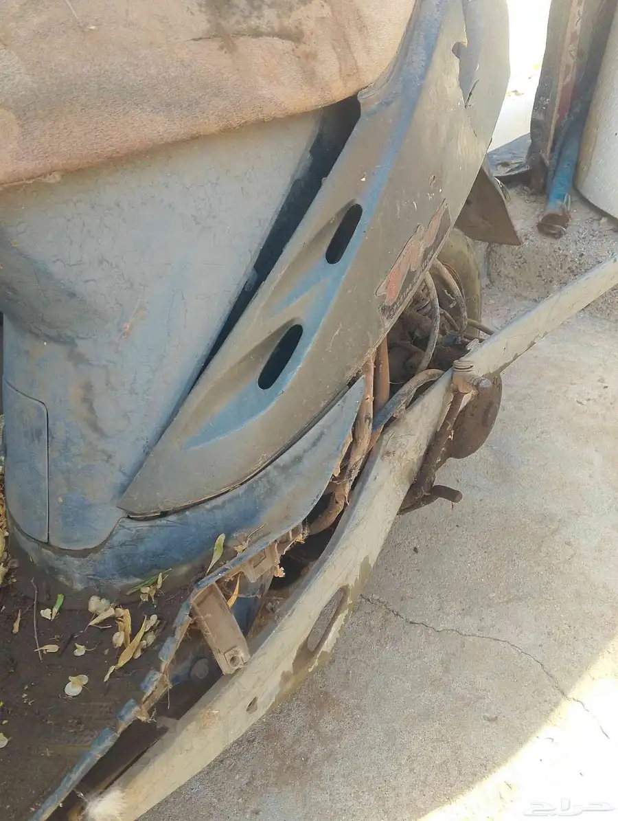 دباب بطه 1