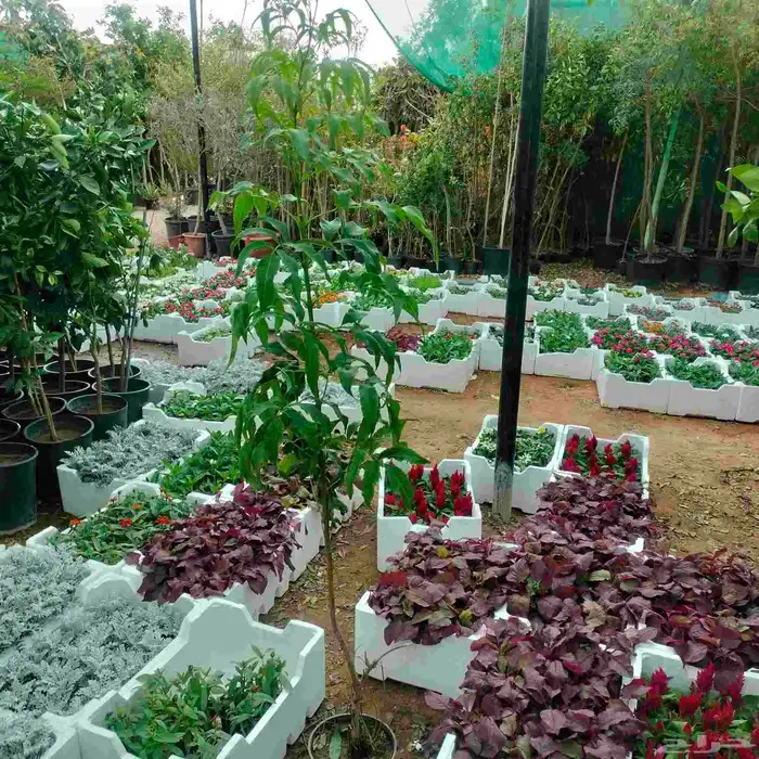 احواض متنقله زراعيه وجميع انواع الأشجار خصم 40 7