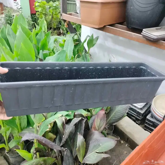 احواض متنقله زراعيه وجميع انواع الأشجار خصم 40 3