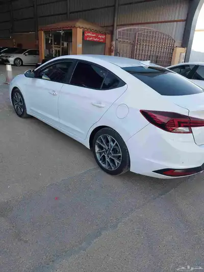 النترا2020 4