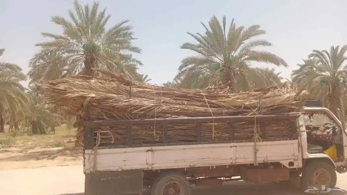 ضواحي الخرج 0