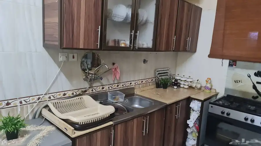 عشف للبيع 22