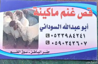 ابو عبد الله حلاق غنم مكينه شغل نظيف . 0