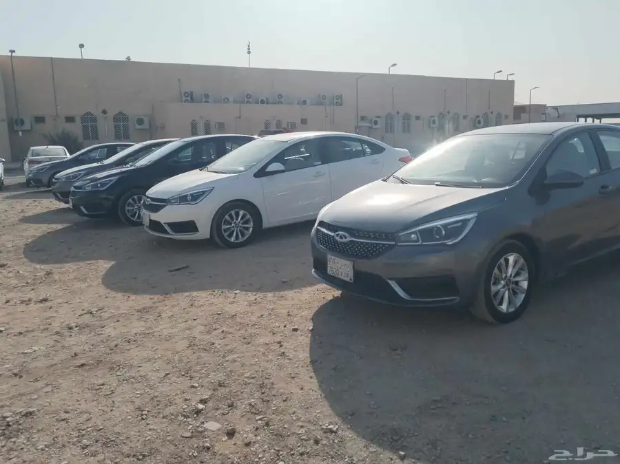 شيري اريزو 5 2023 14
