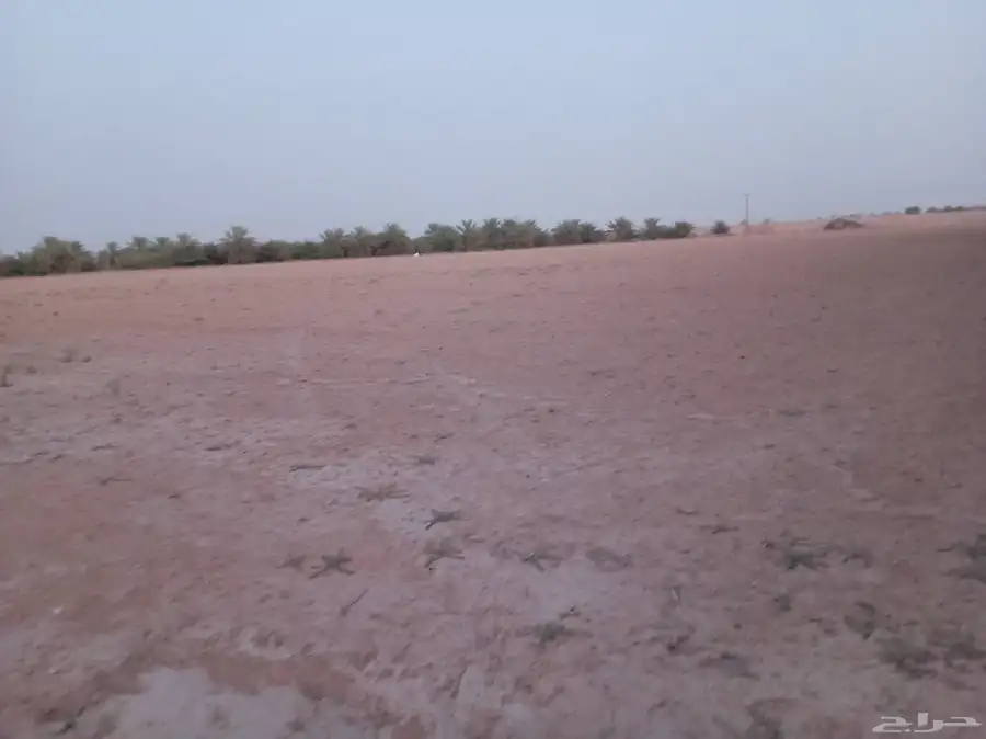 رشاش ثلاثه أبراج 1