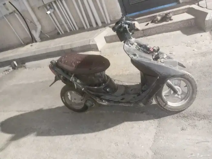 دباب بطه 1
