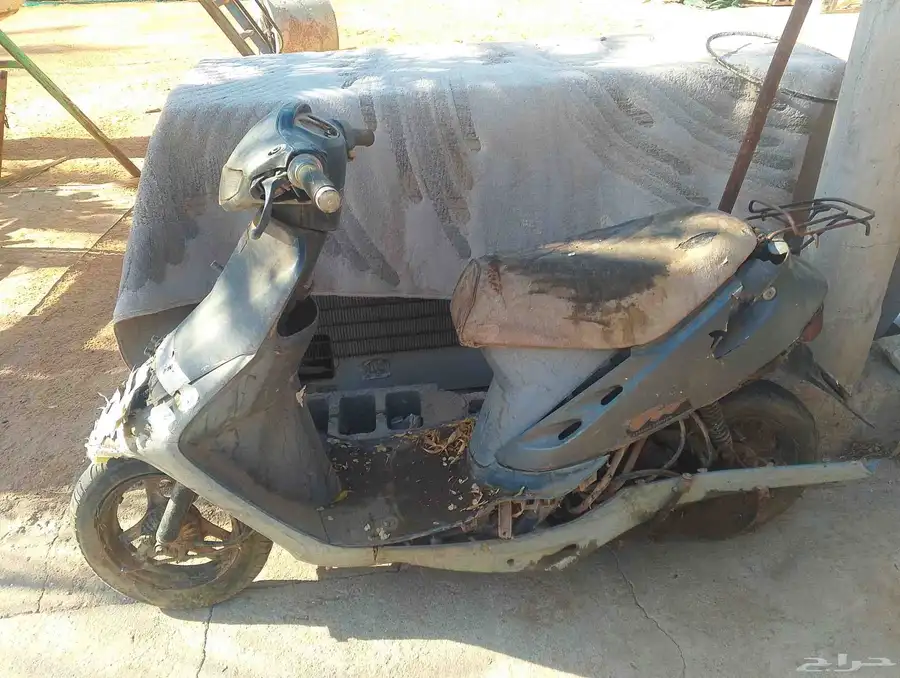 دباب بطه 0