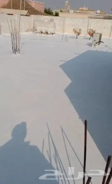 دهانات وديكورات وعاوزل وابكسي 1