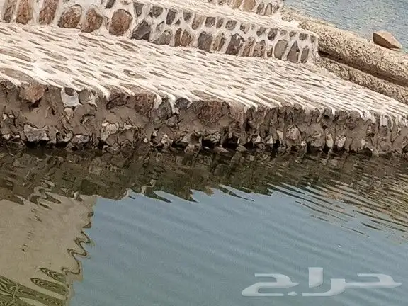 معلم حجر ربراب قويم ردميات جدة 7