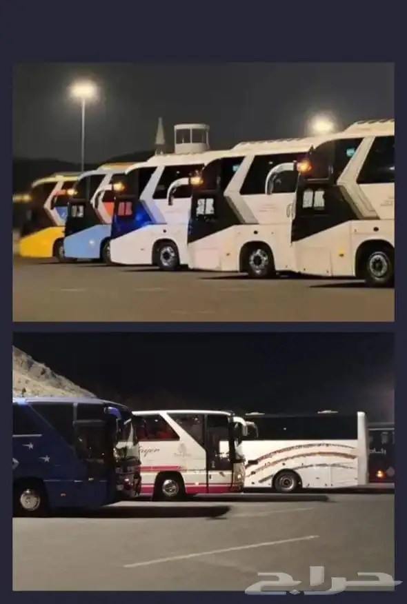 باصات للايجار 1