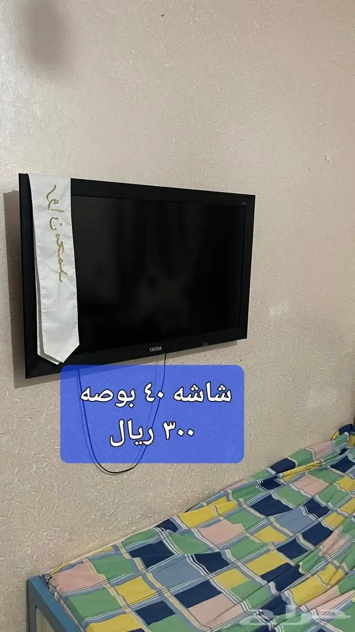 عشف للبيع 12