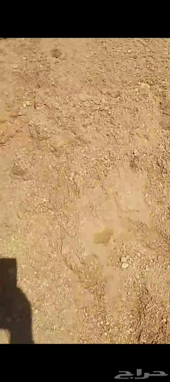 السلام يوجد دفان ميده احمر شمال حايل 2