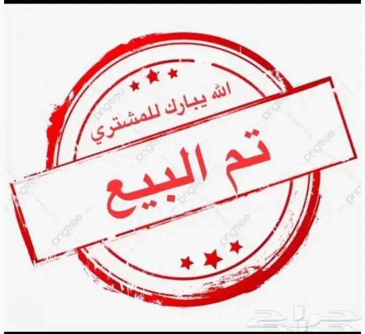 بيض مخصب دجاج لوهمان 0