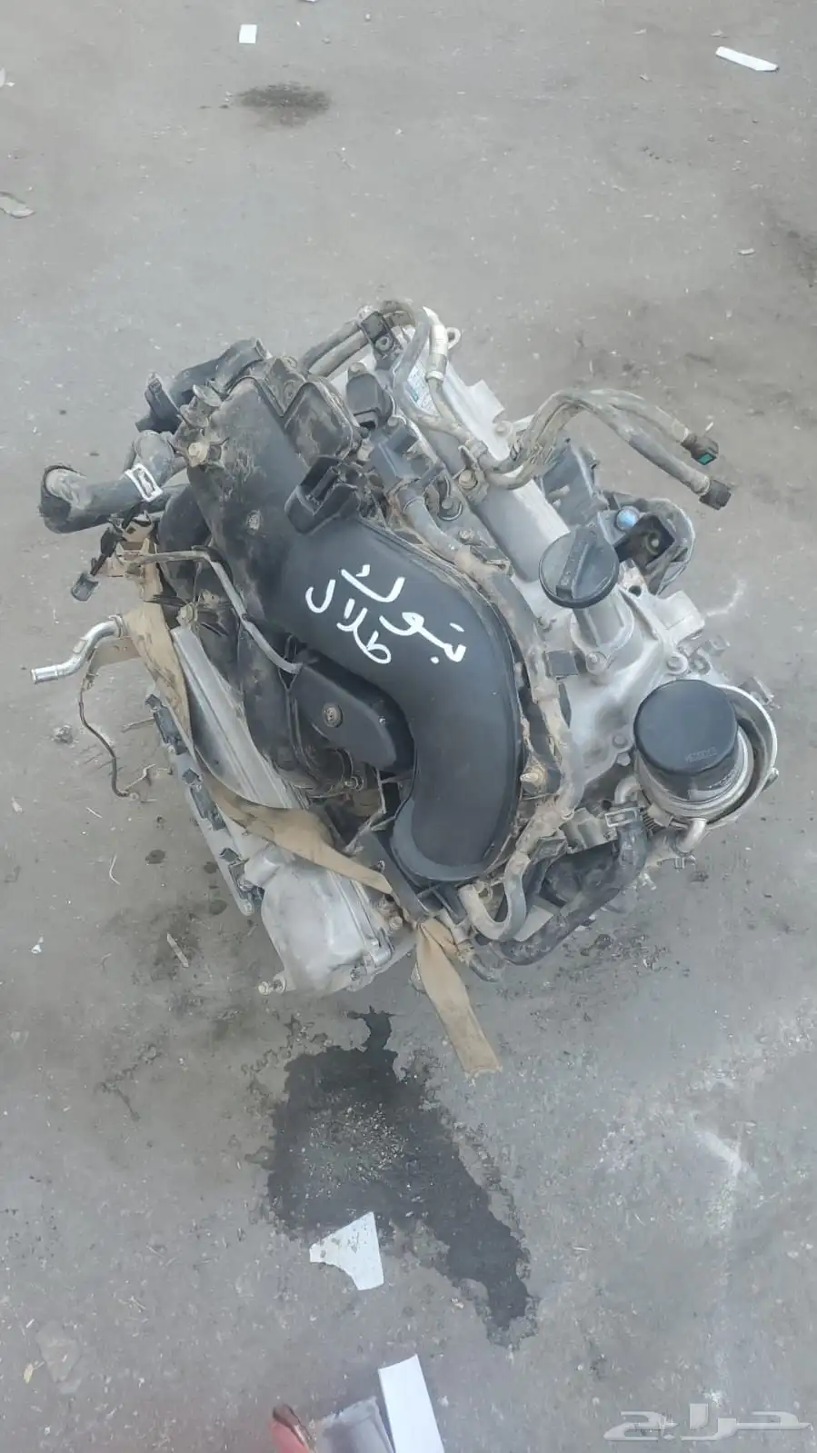 مندوب تشليح الحاير ابو عبدالرحمن 0