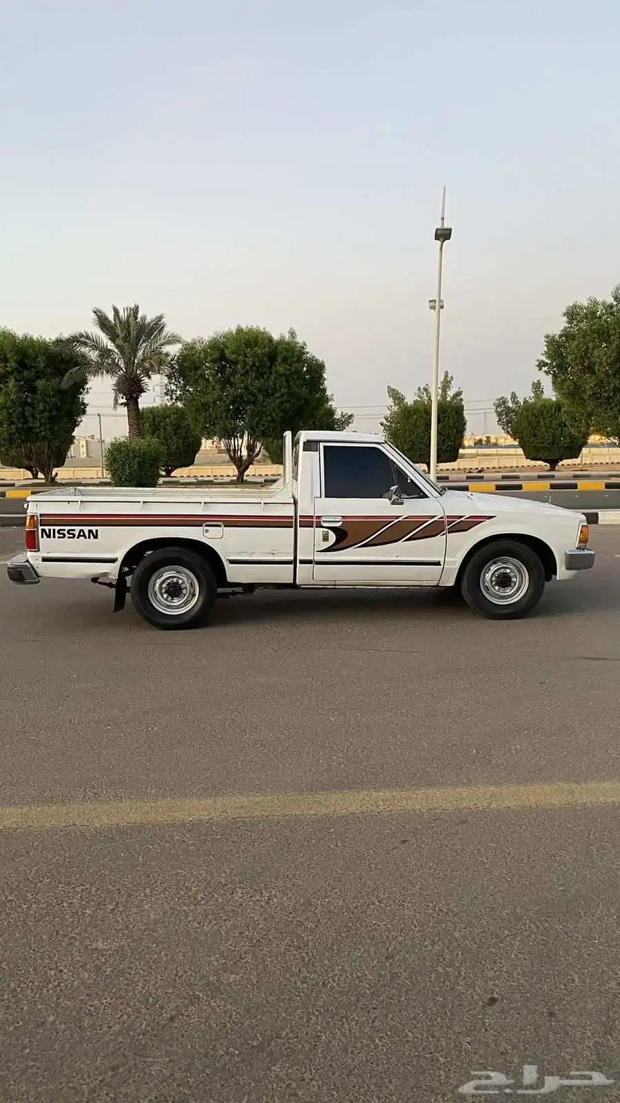 ددسن 84 1