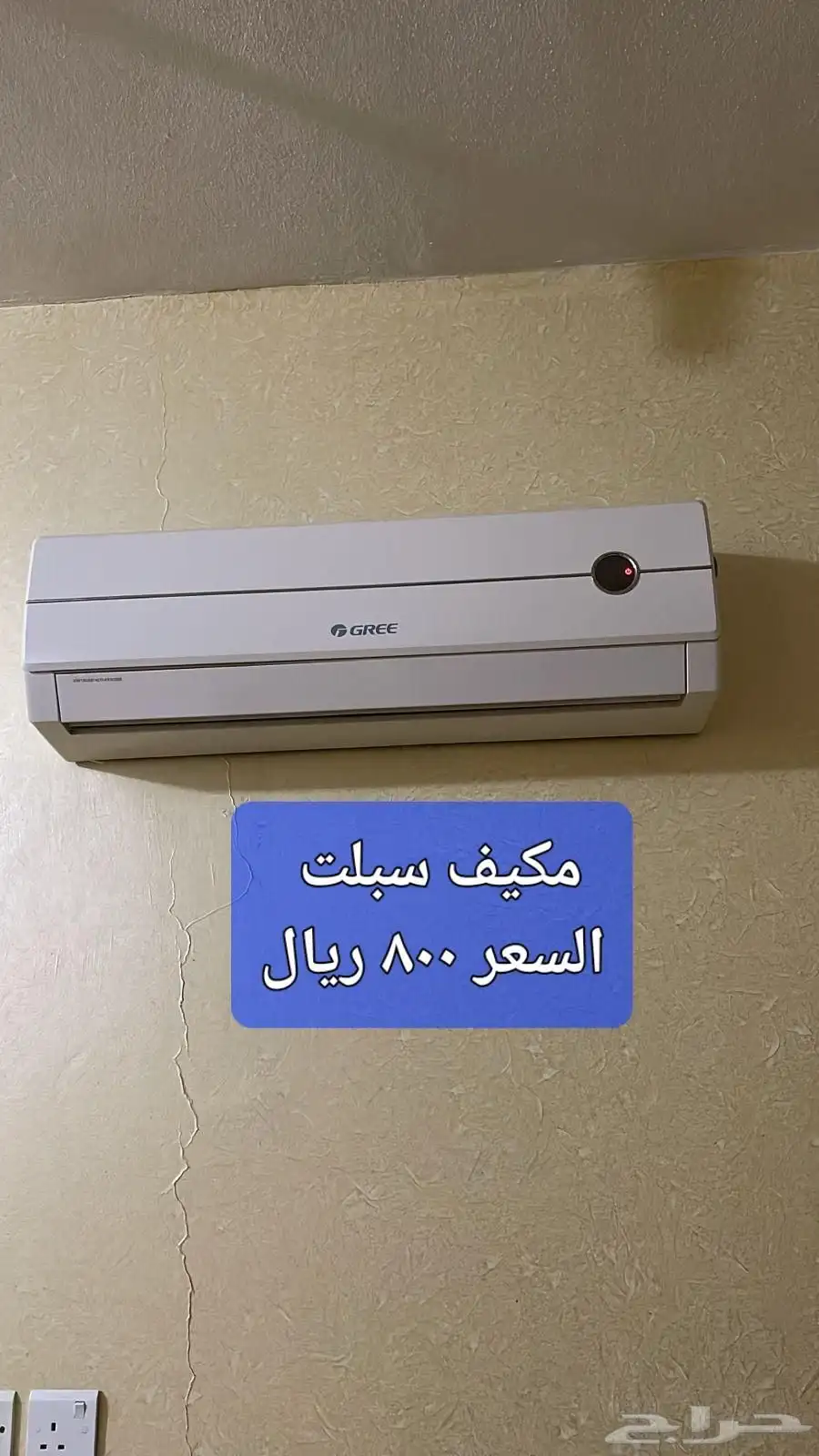 عشف للبيع 16