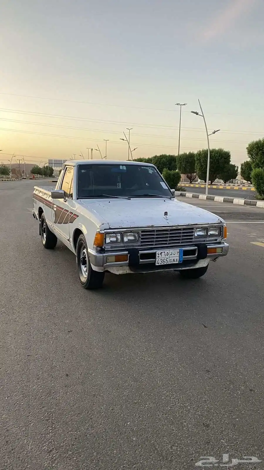 ددسن 84 6