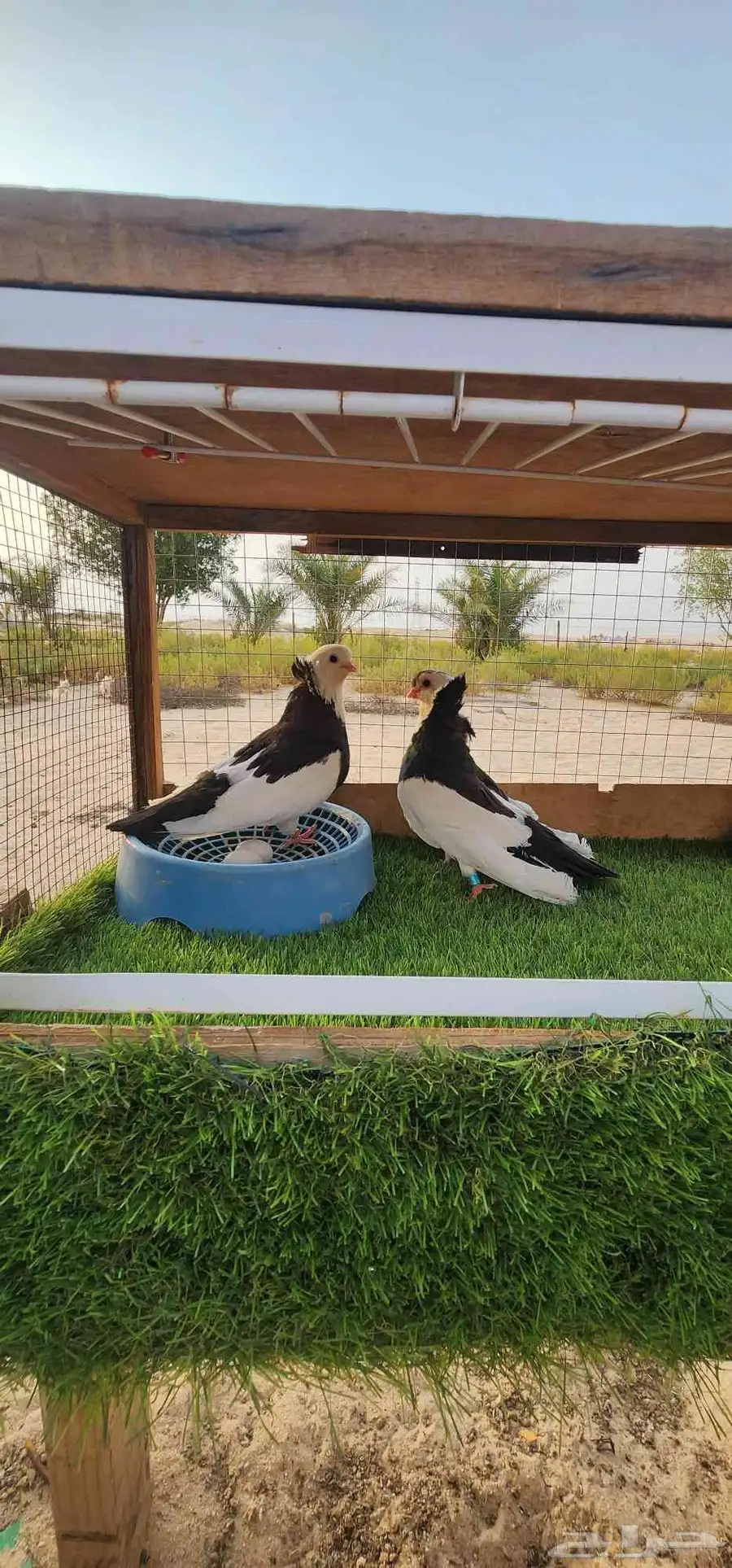 حمام عبسي نظيف ومنتح ماشاء الله تبارك 0