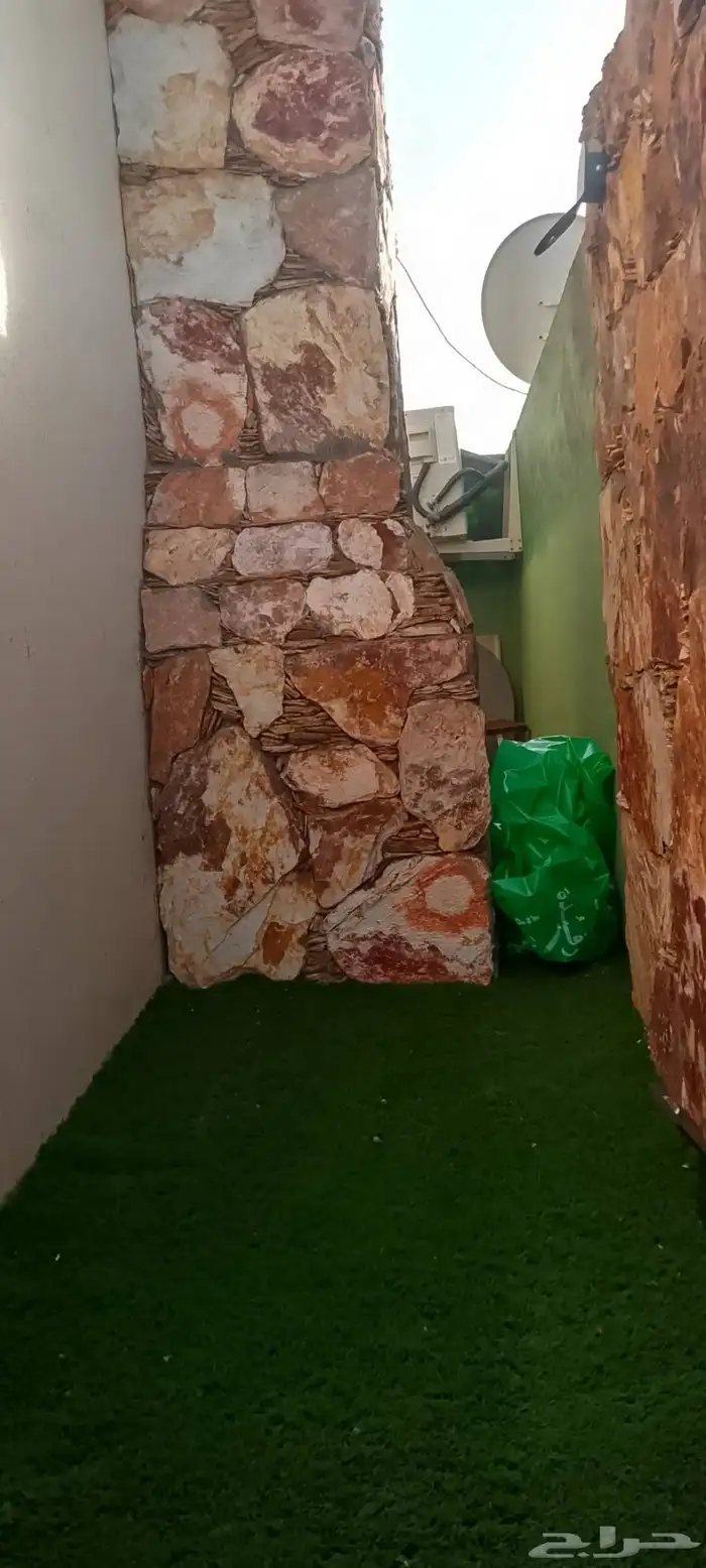 حجر تنومه تلبيس 7