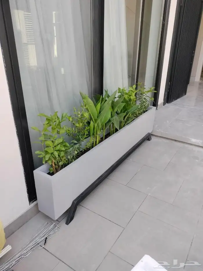 احواض متنقله زراعيه وجميع انواع الأشجار خصم 40 0