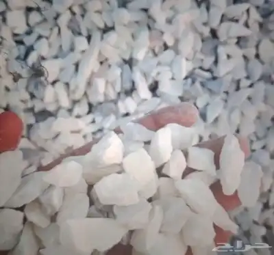 بطحاء طوب عتب خرسانه بلك نقل مخلفات أسمنت مشاوير 1