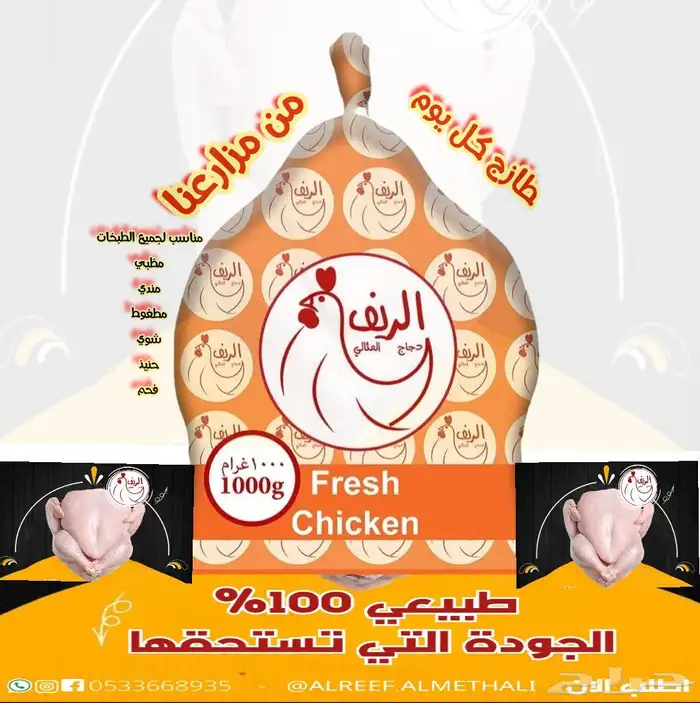 دجاج مبرد طازج كل يوم متوفر جميع الاوزان اسعار منافسه 1