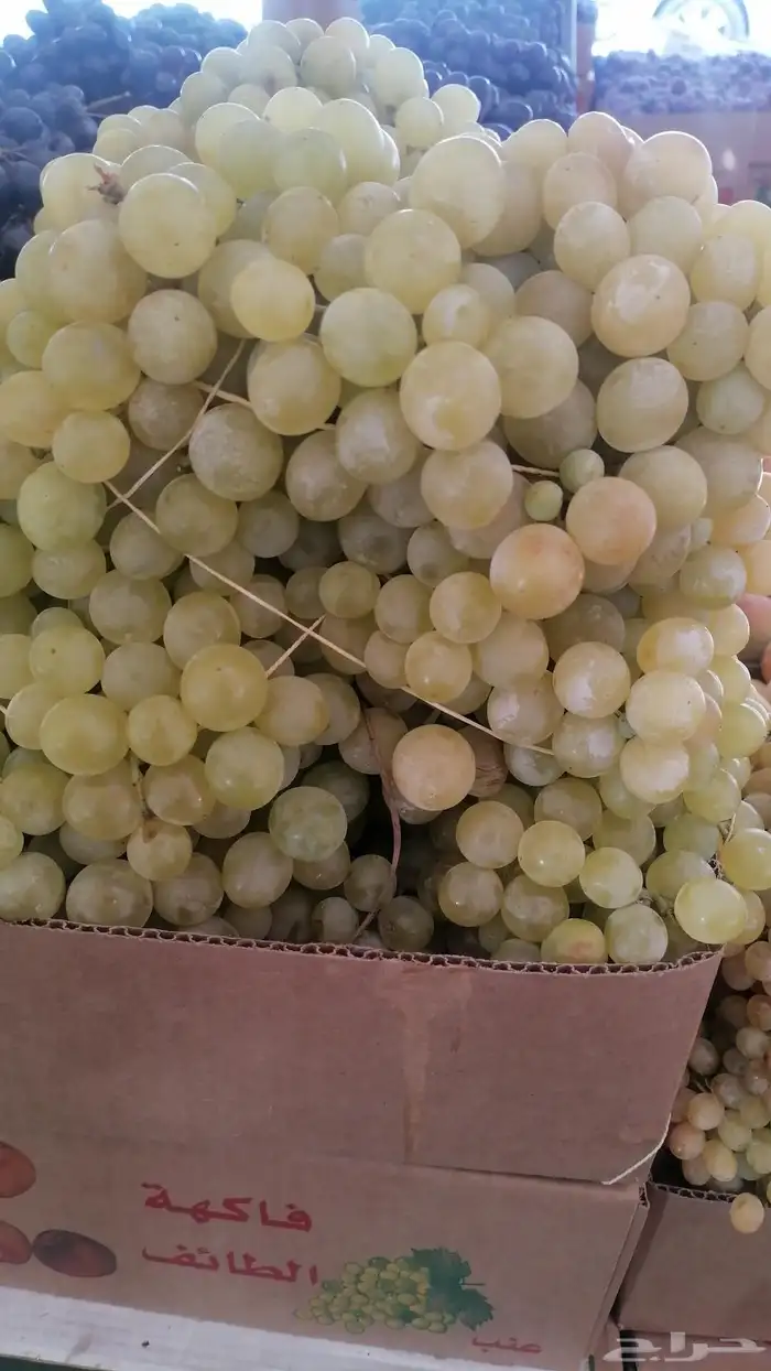 متوفره جميع فواكه الطائف مع توصيل مجاني للمنزل 0