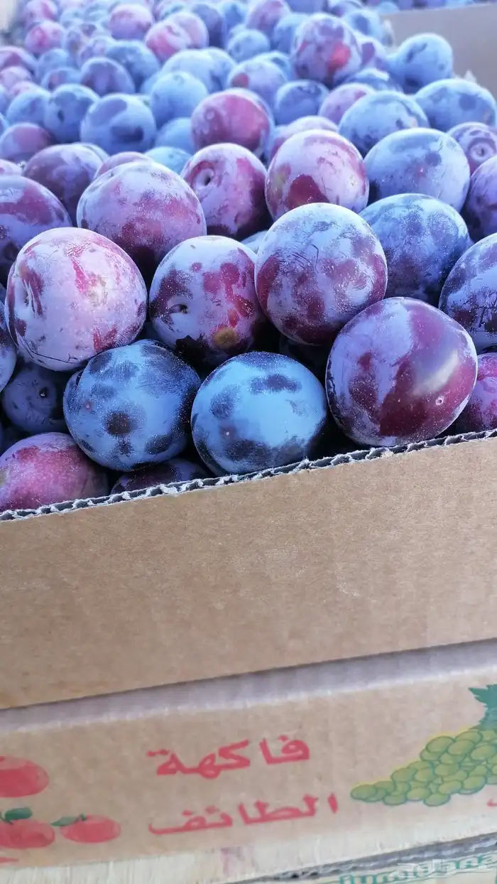 متوفره جميع فواكه الطائف مع توصيل مجاني للمنزل 6