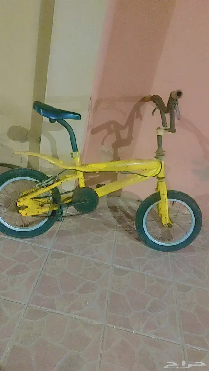 سكيل كوبرا مقاس 14 1