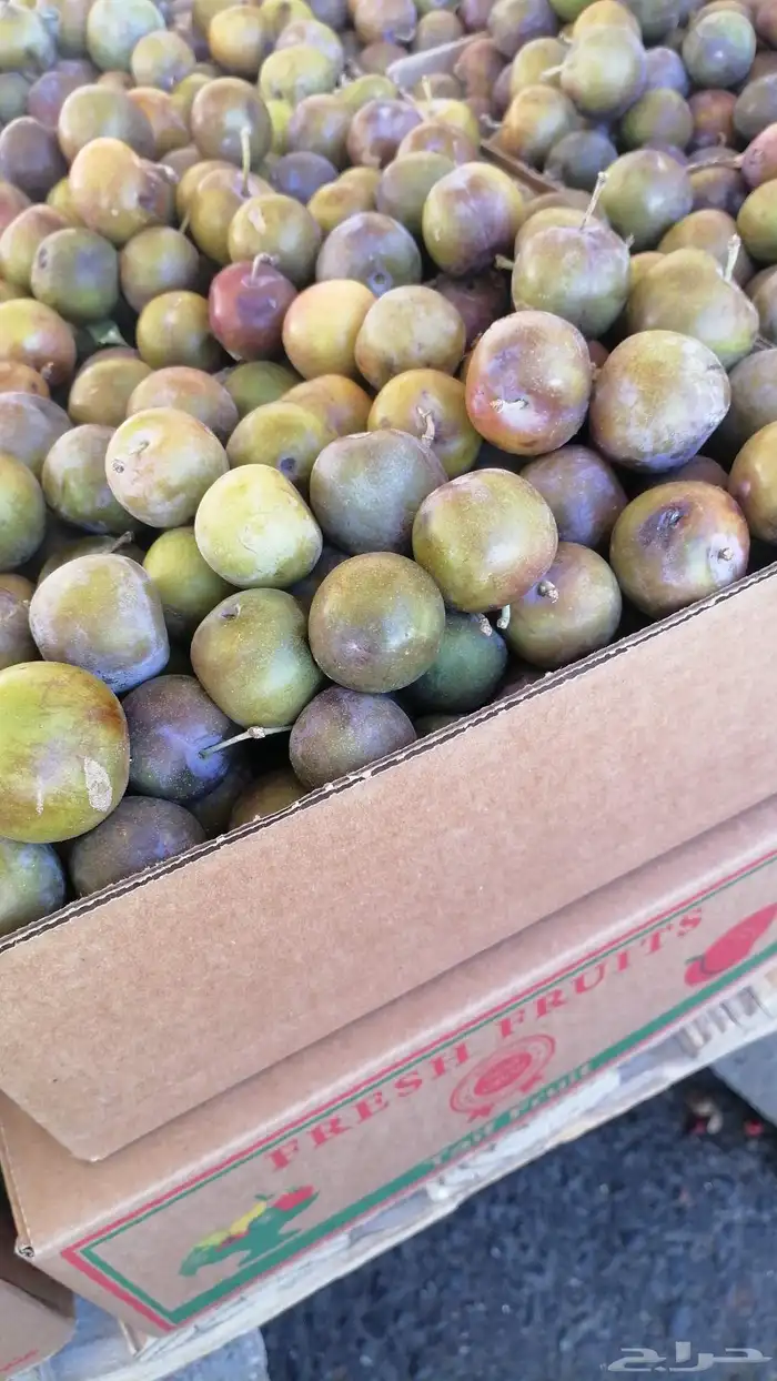 متوفره جميع فواكه الطائف مع توصيل مجاني للمنزل 1