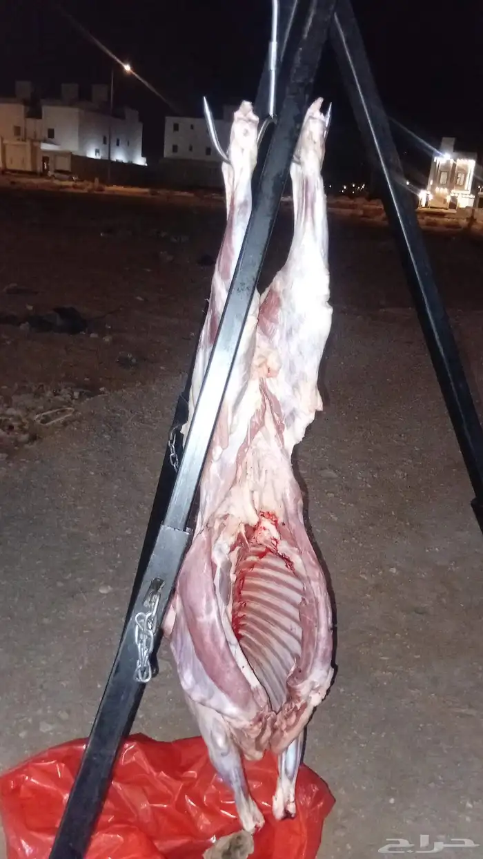 الرياض وضواحيها 0