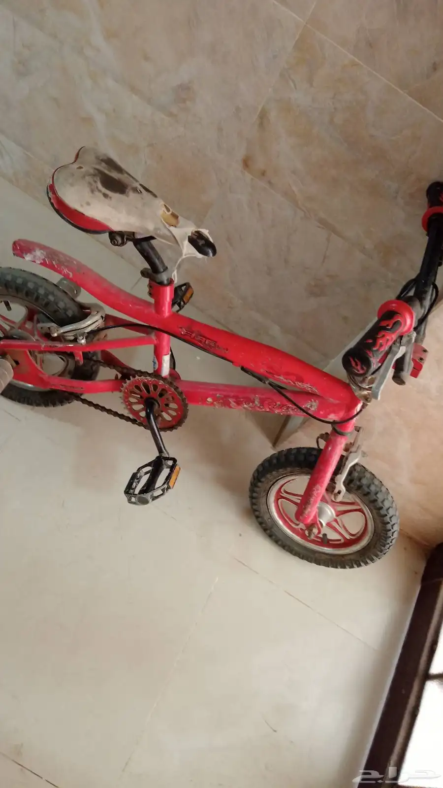 دراجات كوبرا 5
