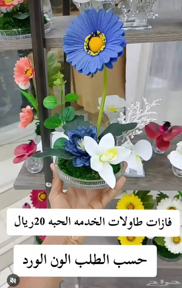 عليك المقاس اوعلينا التنفيذ 5