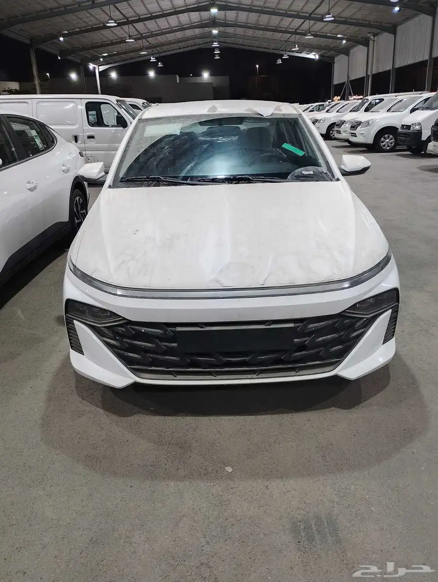 هيونداي اكسنت فيليت 25 0