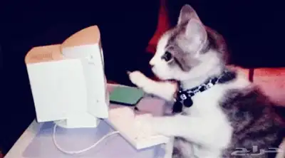 تصليح أجهزة كمبيوتر ولابتوب في طريف 0