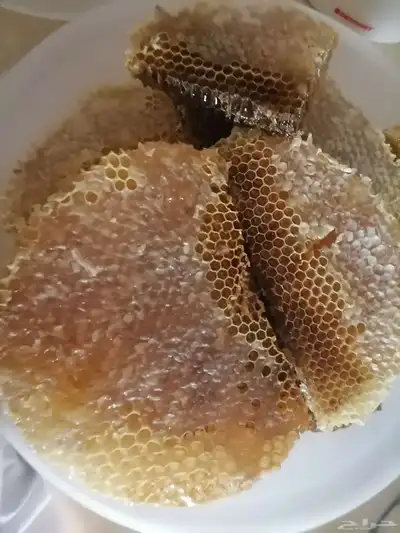 عسل طلح مختوم للبيع 1