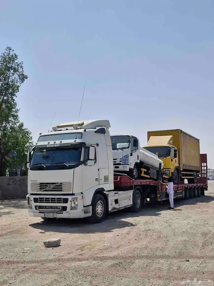 لوبد القصيم بريدة الرياض الدمام 0