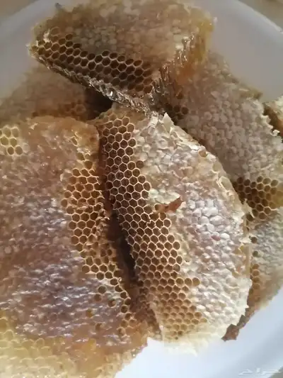 عسل طلح مختوم للبيع 2
