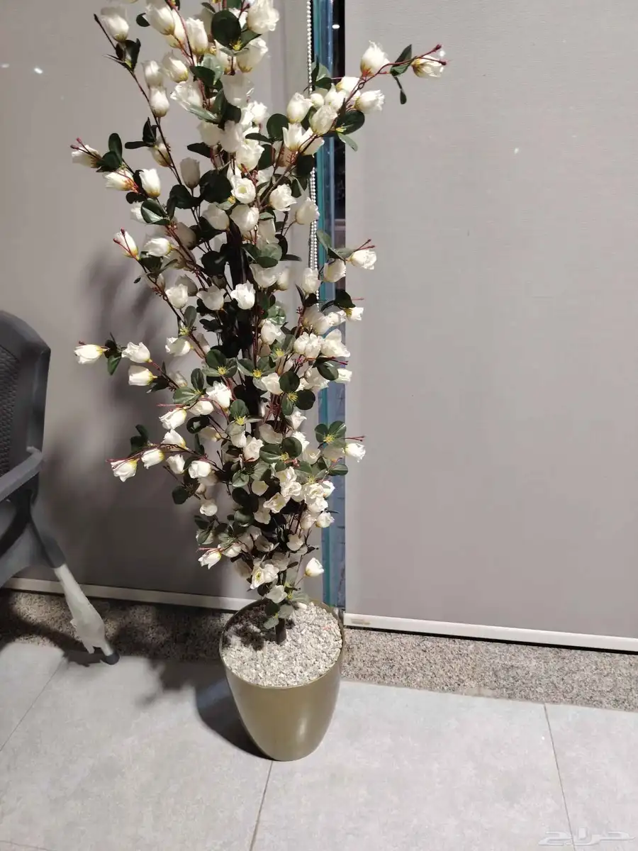 أغراض كلها بيع 21