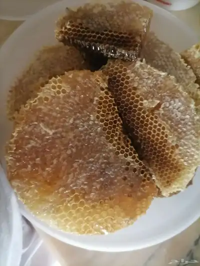 عسل طلح مختوم للبيع 0