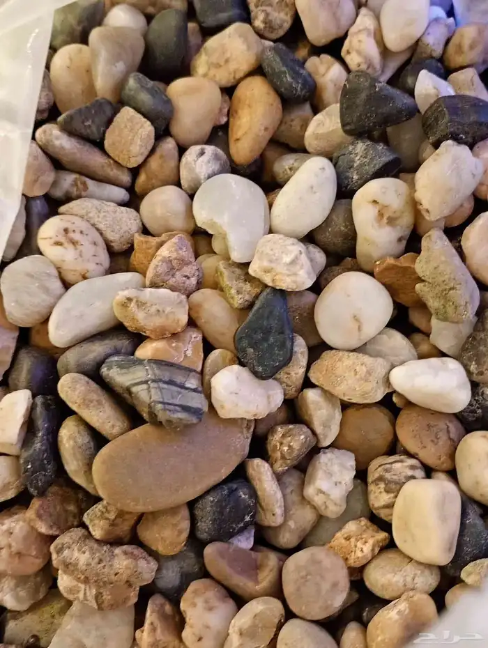 حوض سمك للبيع 7