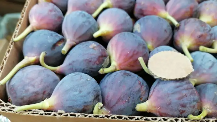 متوفره جميع فواكه الطائف مع توصيل مجاني للمنزل 5